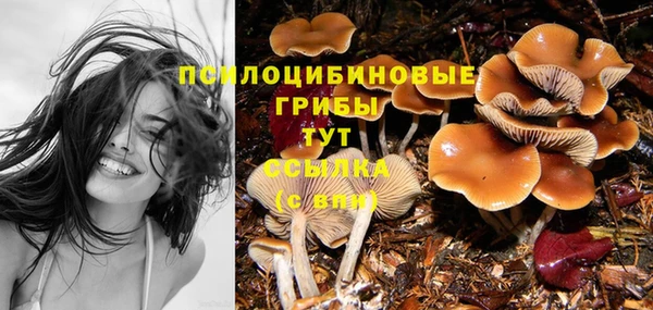 СК Вяземский