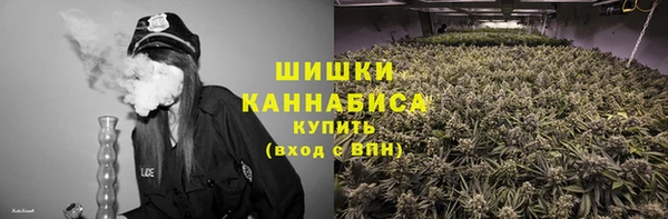 СК Вяземский