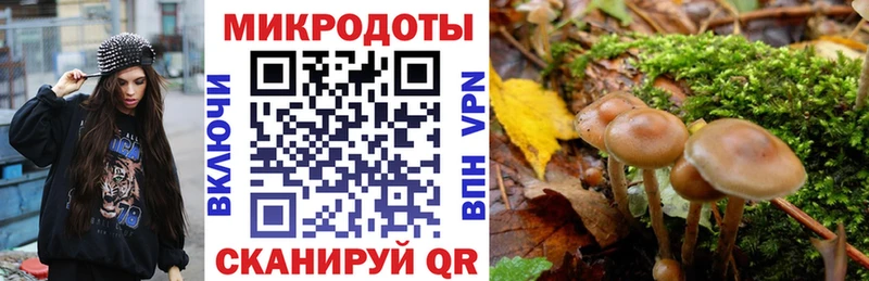 Псилоцибиновые грибы Psilocybine cubensis  Купить  Спас-Деменск 